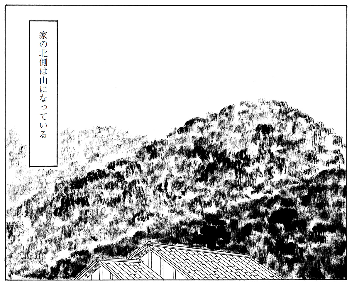 山並みから土地の雰囲気が感じられる