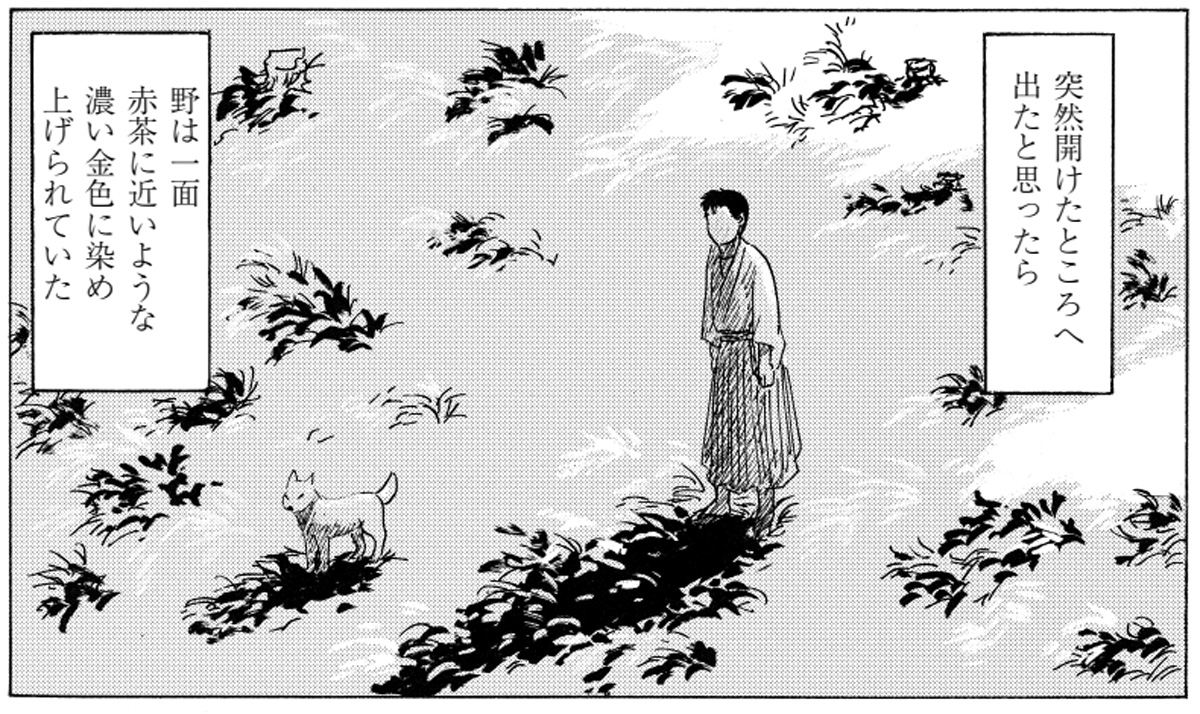 秋の野にいるのは綿貫とゴローだけ